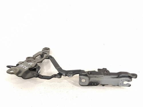 Hinge/Door check strap BMW 5 Touring (F11) 530 d xDrive | BP14301823C146 