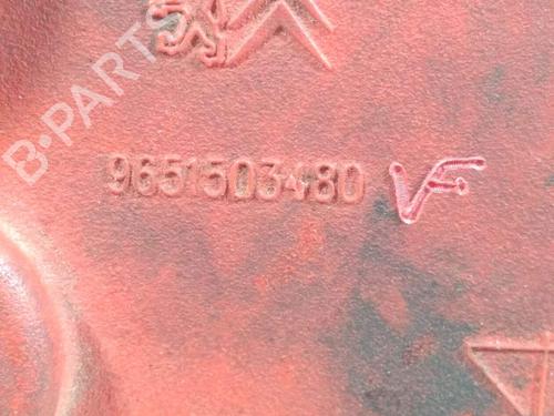Fuse box PEUGEOT 607 (9D, 9U) 2.7 HDi 24V | BP24665054E1 - Image 6