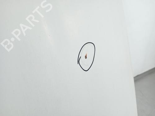 Hood VW CADDY III Box Body/MPV (2KA, 2KH, 2CA, 2CH) 2.0 SDI | BP28480453C1