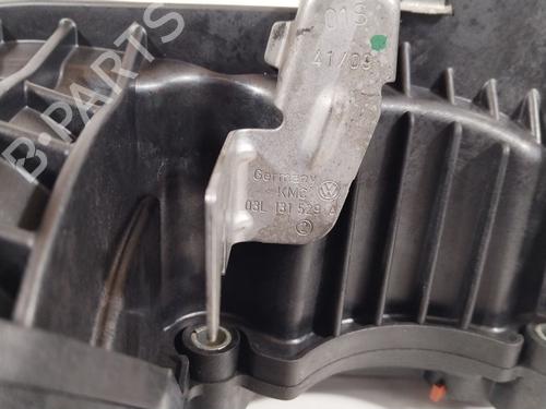 Intake manifold SEAT IBIZA IV (6J5, 6P1) 1.6 TDI | BP32059181M70
