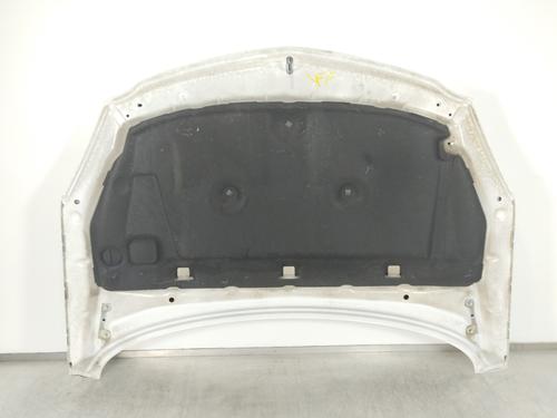 Hood OPEL INSIGNIA A Sports Tourer (G09) 2.0 CDTI (35) | BP12258226C1