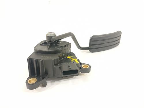 Pedal RENAULT KANGOO / GRAND KANGOO II (KW0/1_) 1.5 dCi 75 (KW07, KW10, KW04) | BP13616496I4 