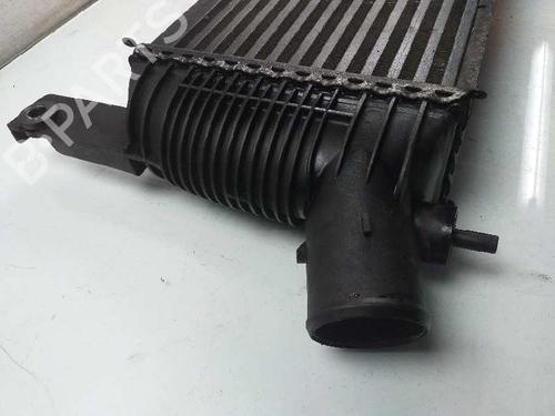 Intercooler NISSAN NAVARA NP300 (D40)  | BP4858876M30 