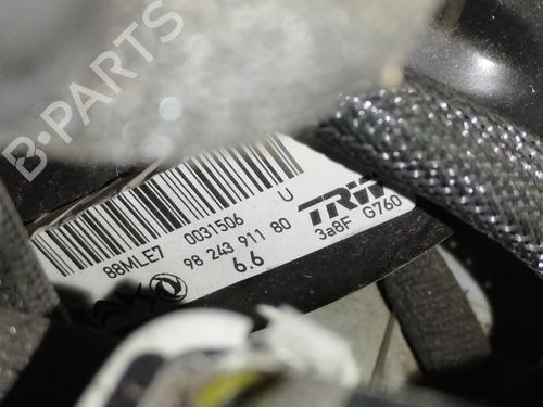 Servo brake PEUGEOT 208 II (UB_, UP_, UW_, UJ_)  | BP19794138M42 