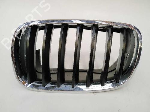 Grill/Gitter BMW X6 (E71, E72) xDrive 35 d (286 hp) 5602076