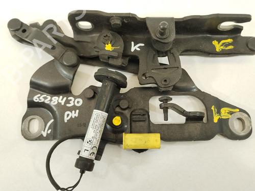 Used Hinge/Door check strap BMW 5 Touring (F11) 525 d xDrive (218 hp) 28125477