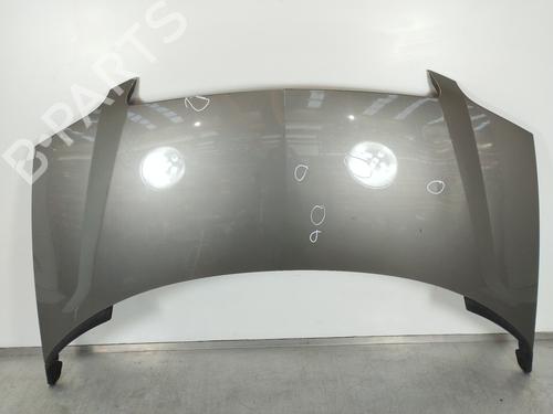 Used Hood LANCIA PHEDRA (179_) 2.2 JTD (179AXC1A) (128 hp) 11416222