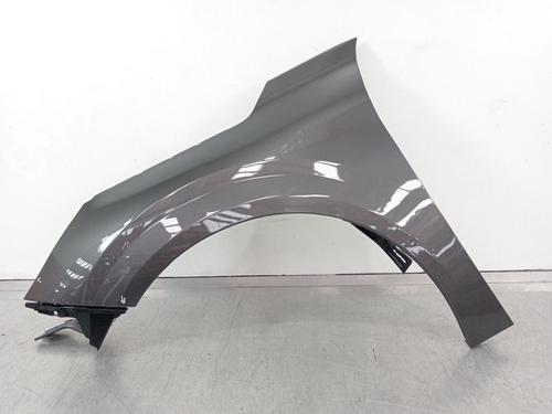 Left front fenders PEUGEOT 208 II (UB_, UP_, UW_, UJ_) 1.2 PureTech 100 | BP24959082C41 
