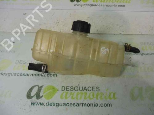 Used Expansion tank RENAULT CLIO III (BR0/1, CR0/1) [2005-2014]  1875549