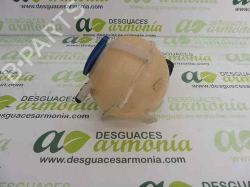 Expansion tank SEAT IBIZA IV (6J5, 6P1)  | BP1960008C120 