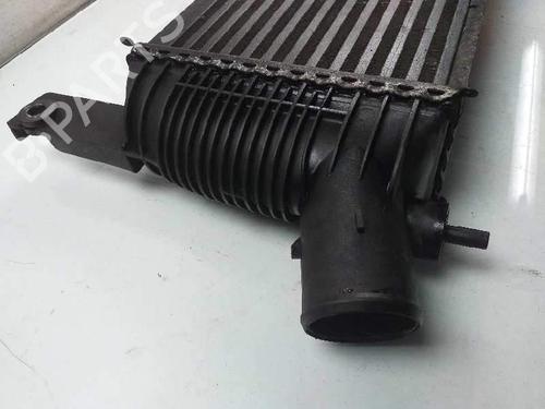 Intercooler NISSAN NAVARA NP300 (D40) | BP4858876M30 - Image 3