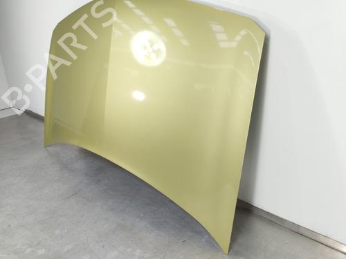 Hood RENAULT MEGANE II (BM0/1_, CM0/1_)  | BP10327067C1 