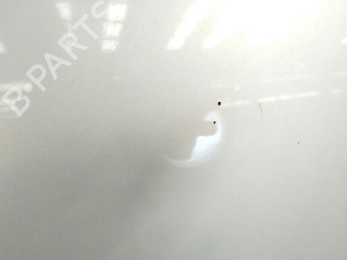 Hood LAND ROVER FREELANDER I (L314)  | BP9857983C1 