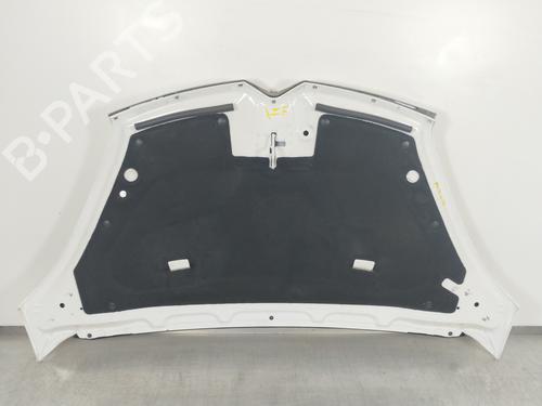 Hood CITROËN C4 Grand Picasso I (UA_) 1.6 HDi | BP10081459C1