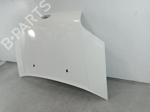 Hood FORD TRANSIT CONNECT (P65_, P70_, P80_)  | BP19182963C1