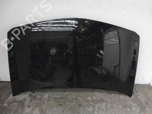 Panser RENAULT MEGANE II (BM0/1_, CM0/1_) [2001-2012]  2339784