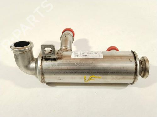 Used Egr Egr 36989481 36989481