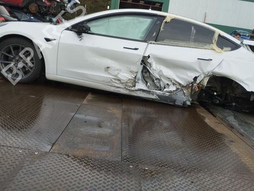Dørhængsel/Dørbegrænser TESLA MODEL 3 (5YJ3) EV | BP36238595C146  - Image 9
