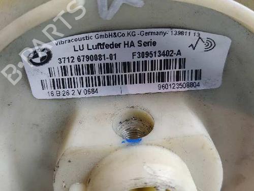 Right rear shock absorber BMW X6 (E71, E72) xDrive 35 d | BP14301655M19
