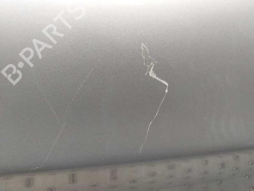 Left front door BMW 3 (E90)  | BP3143449C2 