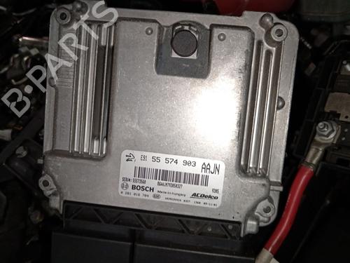 Centralina do motor Centralina do motor OPEL INSIGNIA A (G09) 2.0 CDTI (68) (131 hp) 36076813 36076813