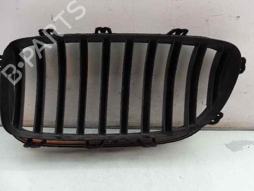 BP3348049C40 | Front grille BMW 5 Touring (F11) 520 d xDrive BP3348049C40