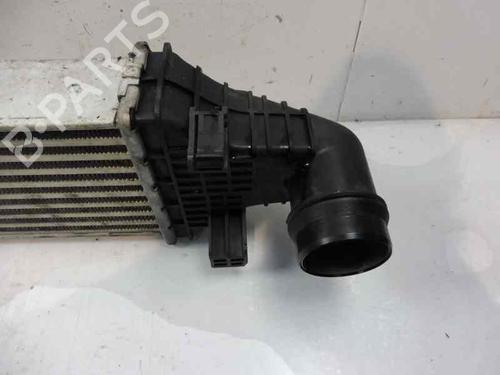 Intercooler MERCEDES-BENZ C-CLASS (W204)  | BP2518352M30 