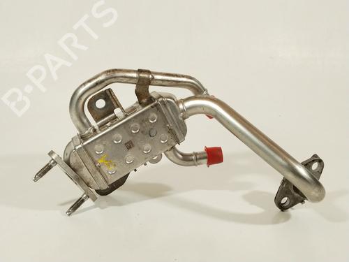 Egr KIA RIO IV (YB, SC, FB)  | BP29354988M69 