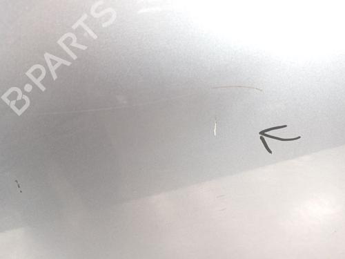 Right front door RENAULT MEGANE III Hatchback (BZ0/1_, B3_)  | BP17130999C3