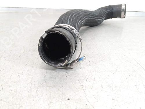 Pipe PEUGEOT TRAVELLER Bus (V_) 2.0 BlueHDi 145 | BP37486553M125 - Image 2