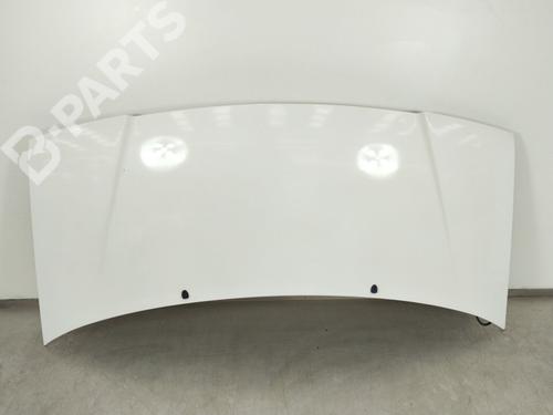 Used Hood Hood CITROËN JUMPY I Platform/Chassis (BU_, BV_, BW_, BX_) 2.0 HDi 95 (94 hp) 10727069 10727069