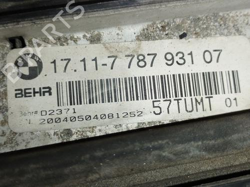 Water radiator BMW X5 (E53) 3.0 d | BP38346827M31 - Image 2