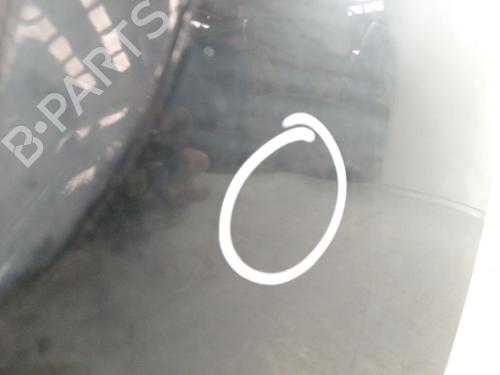 Tailgate MINI MINI (R50, R53) One | BP19431202C6 