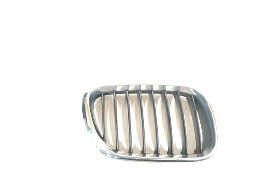 grillgitter-bmw-x5-e53-2000-2001-2002-2003-2004-2005-2006-17529567 main image
