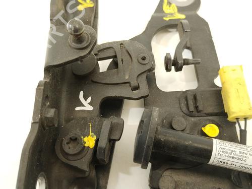 Hinge/Door check strap BMW 5 Touring (F11) 525 d xDrive | BP28125477C146
