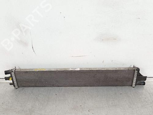 Water radiator RENAULT MASTER III Van (FV) 2.3 dCi 130 FWD (FV0M, FV0Y, FV0J, FV02, FV03) | BP39067420M31 - Image 4