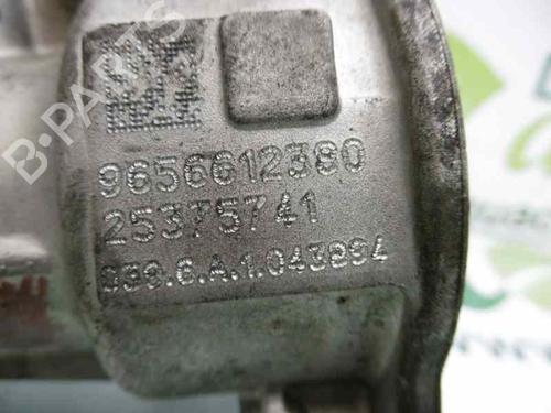 Egr CITROËN C8 (EA_, EB_) 2.0 HDi 135 | BP1990905M69 