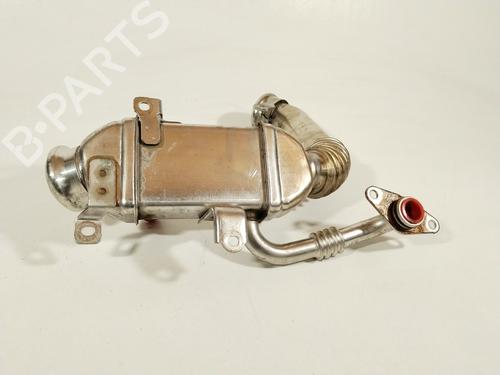 Egr FIAT DUCATO Van (250_)  | BP28072382M69 