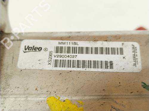 Egr FORD MONDEO IV Turnier (BA7)  | BP29067058M69 