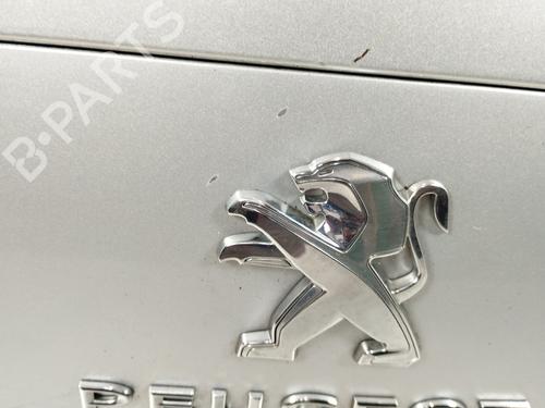 Tailgate PEUGEOT 508 I (8D_) 2.0 HDi | BP16524432C6