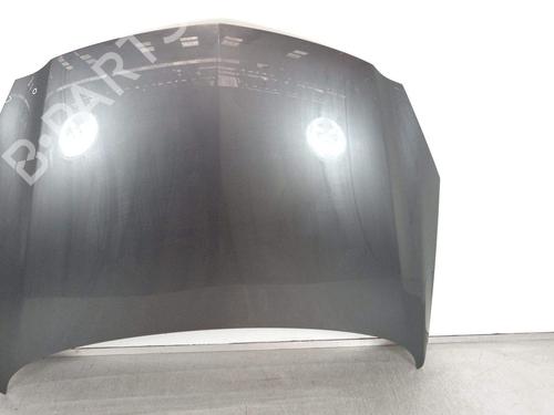 hood-opel-insignia-a-g09-2008-2009-2010-2011-2012-2013-2014-2015-2016-2017-33976940 main image