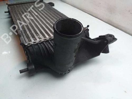 Intercooler NISSAN NAVARA NP300 (D40)  | BP4858876M30 