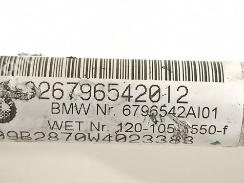 Other BMW X6 (E71, E72) | BP20692309O1