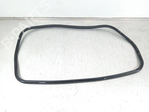 Rubber door seal BMW 4 Coupe (G22, G82) M4 Competition M xDrive | BP29279770C142 