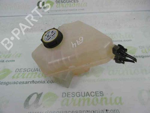 Expansion tank FORD FIESTA VI (CB1, CCN) [2008-2024]null 8V218K218B