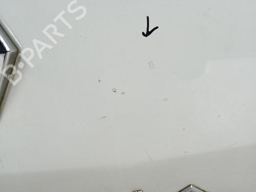 Tailgate RENAULT LAGUNA III (BT0/1) 2.0 dCi (BT01, BT08, BT09, BT0E, BT0K, BT12, BT1C, BT1D,... | BP31250556C6 