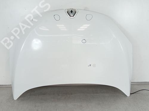 hood-renault-megane-iii-hatchback-bz01_-b3_-2008-16805735 main image