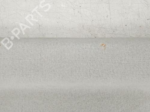 Rear parcel shelf RENAULT SCÉNIC III (JZ0/1_)  | BP16795537C85 