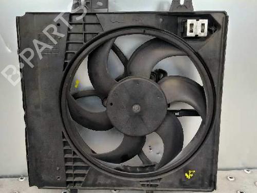 Used Radiator fan Radiator fan PEUGEOT 207 (WA_, WC_) [2006-2015] 16873805 16873805