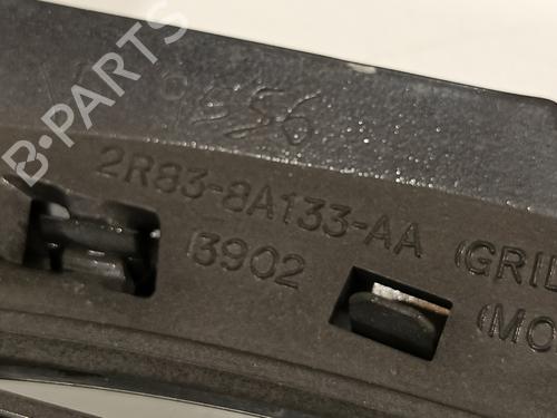 Grill JAGUAR S-TYPE II (X200) 3.0 V6 | BP16790371C40 